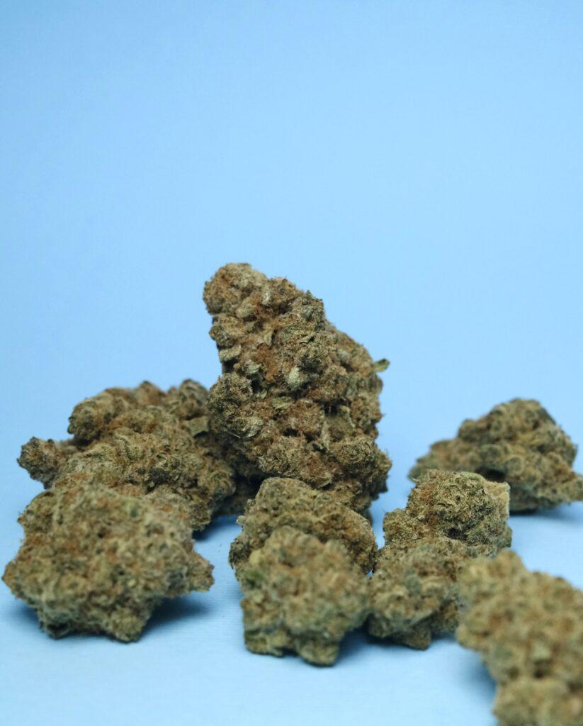 CBD sisky 25% FATRA HEMP